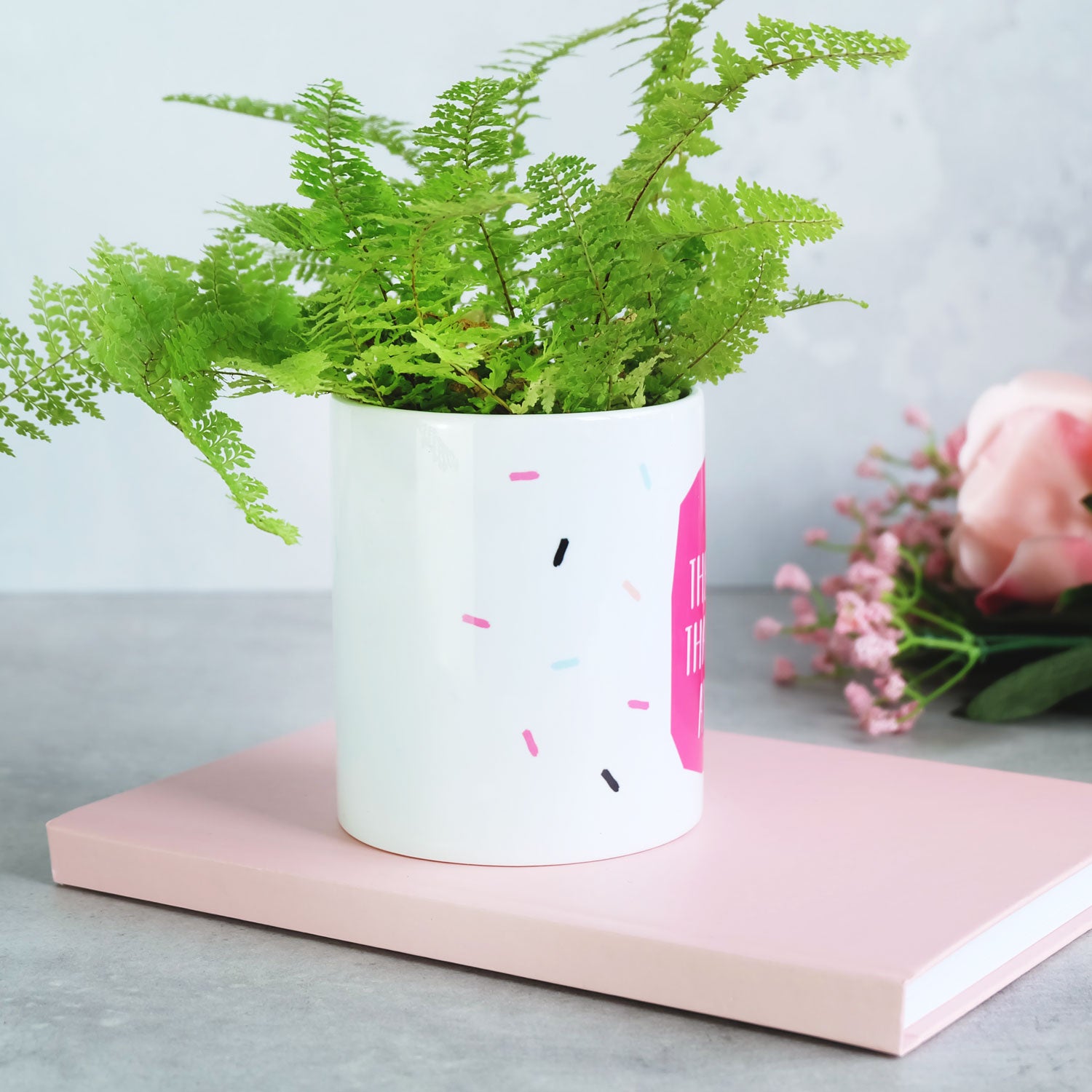 Mum's The Word Plant Pot