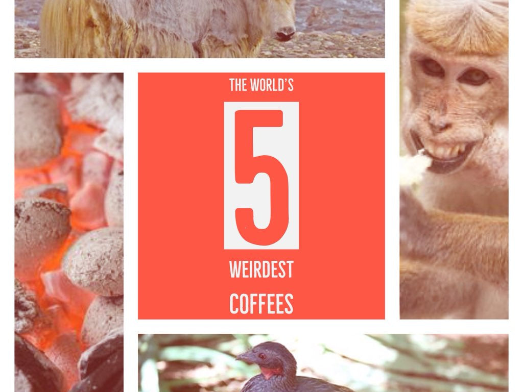 The world's 5 weirdest coffees