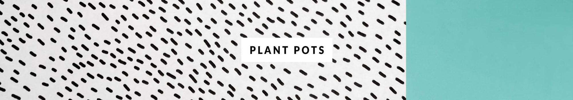 Plant Pots