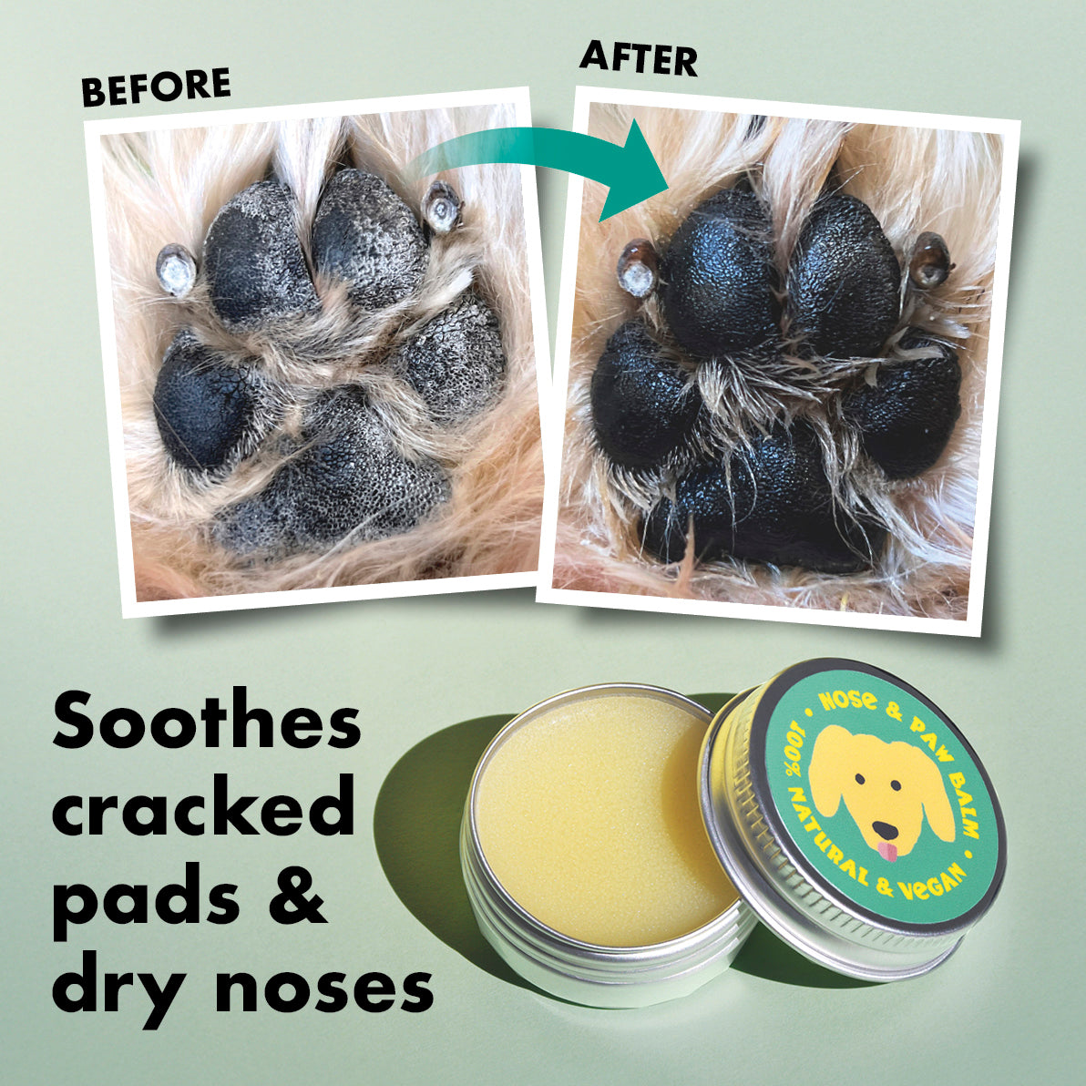 Nose and Paw Balm for Dogs