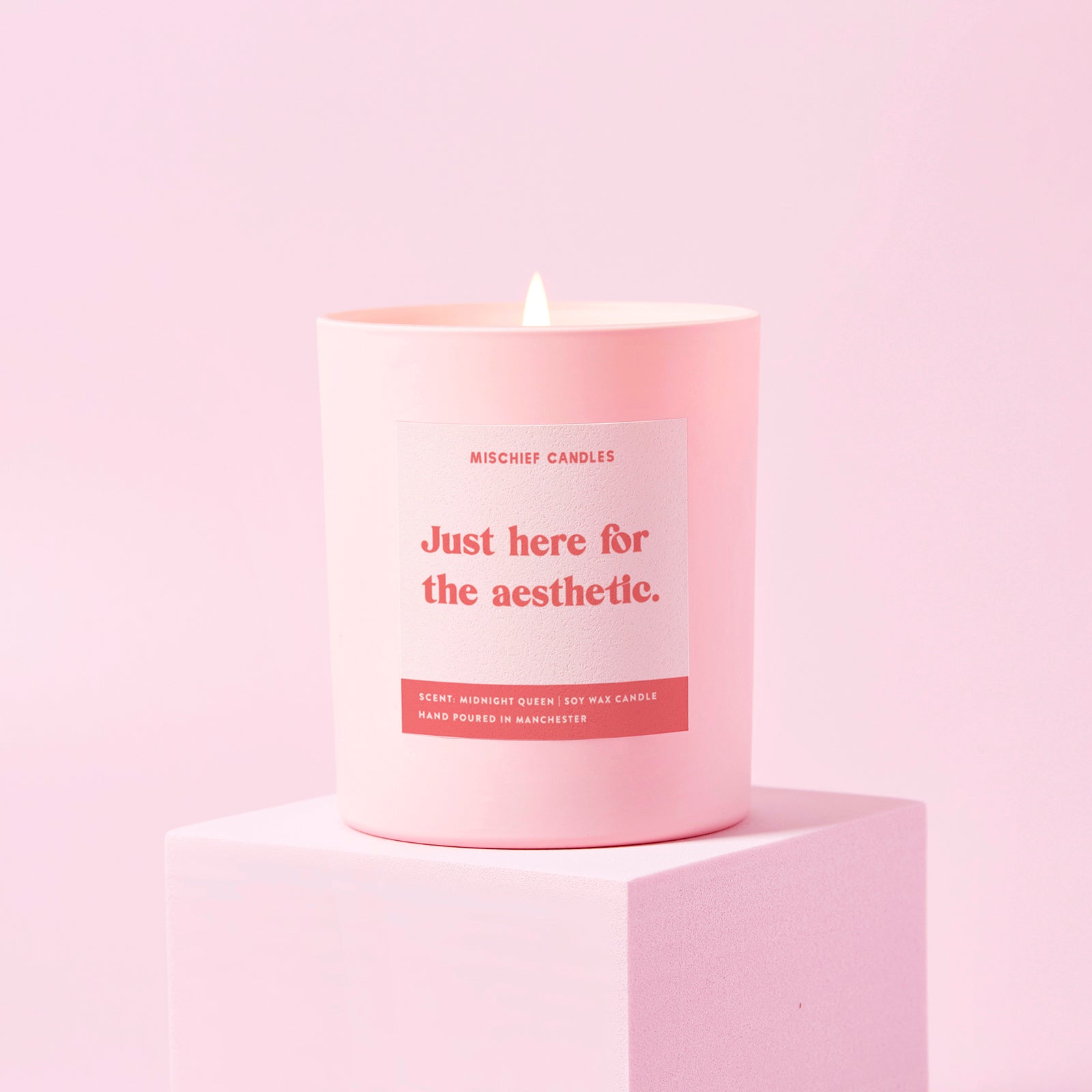 Funny Aesthetic Candle Gift Just Here for the Aesthetic