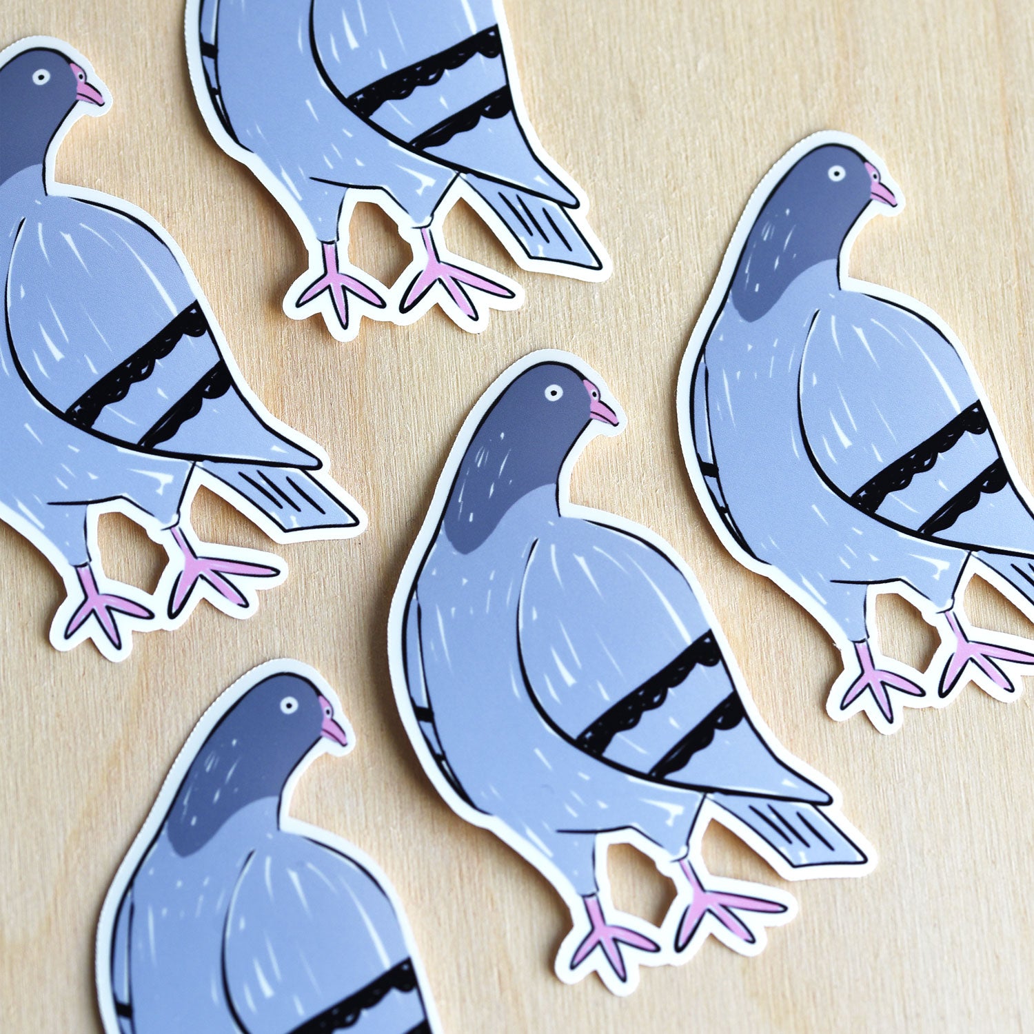 Pigeon Sticker