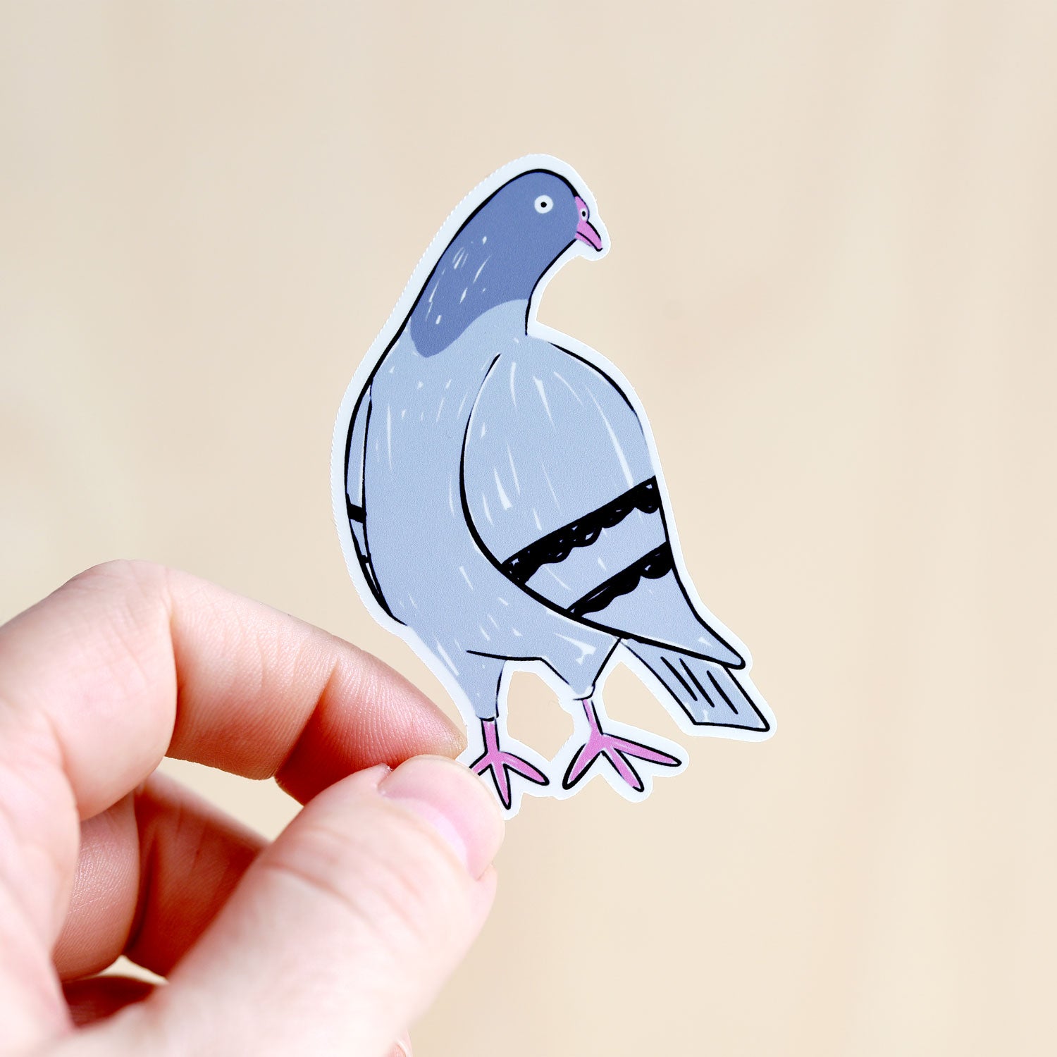 Pigeon Sticker
