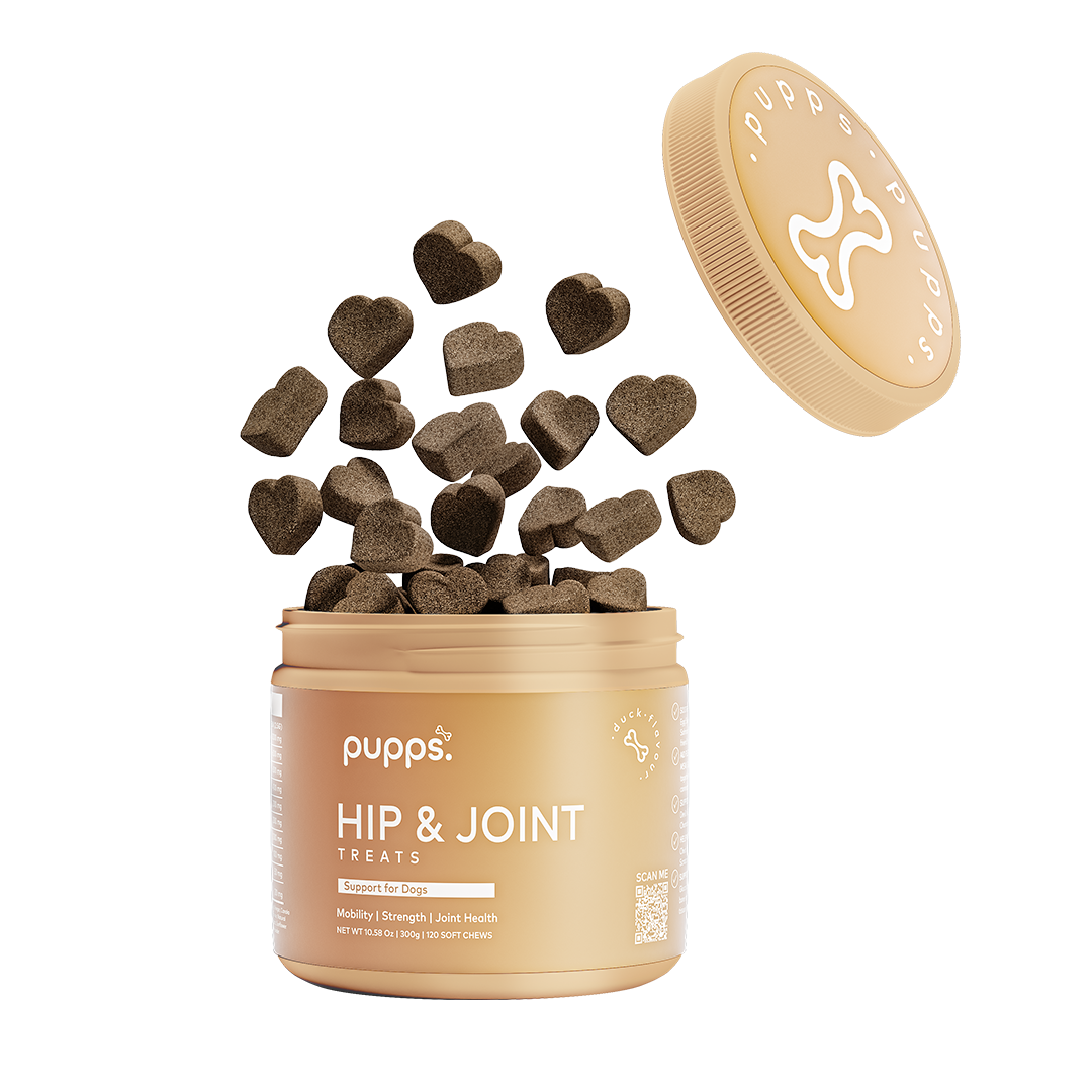 Hip & Joint Treats