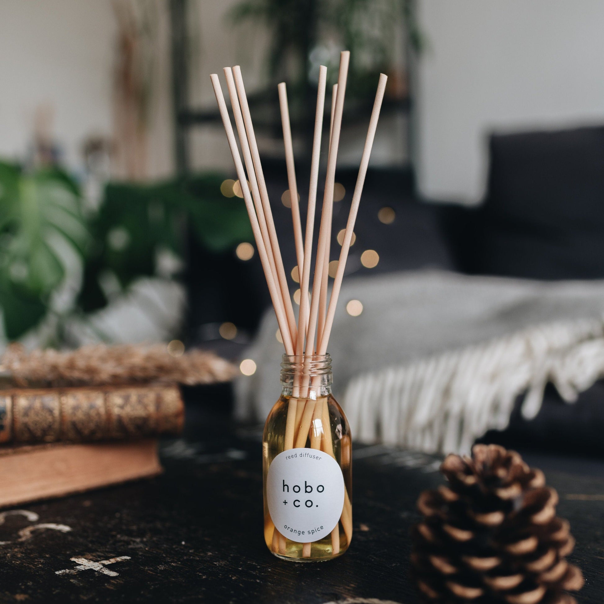 Orange Spice Reed Diffuser