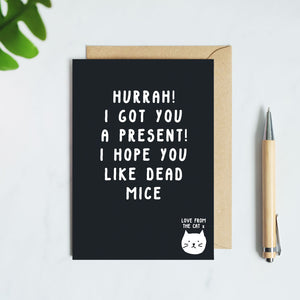 funny cat card