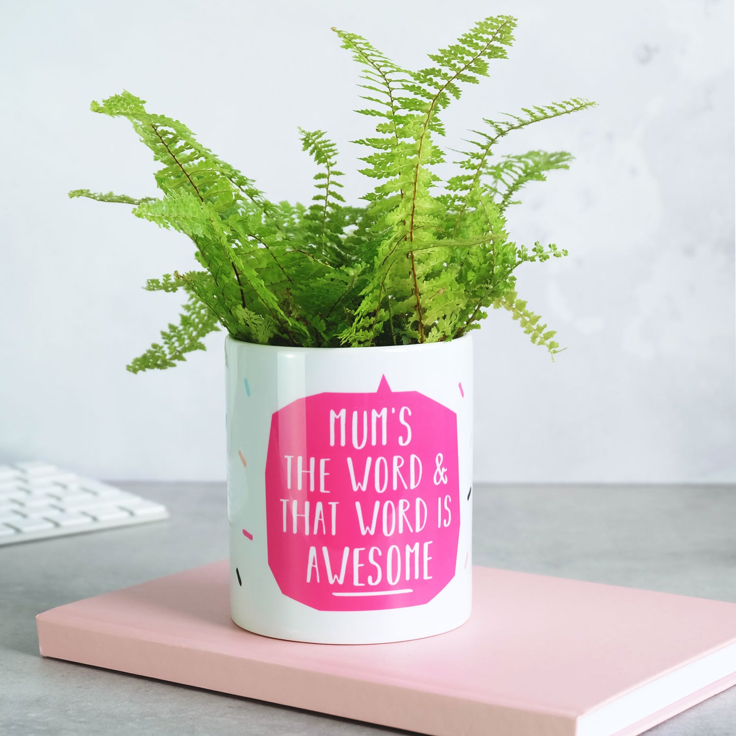 Mum's The Word Plant Pot
