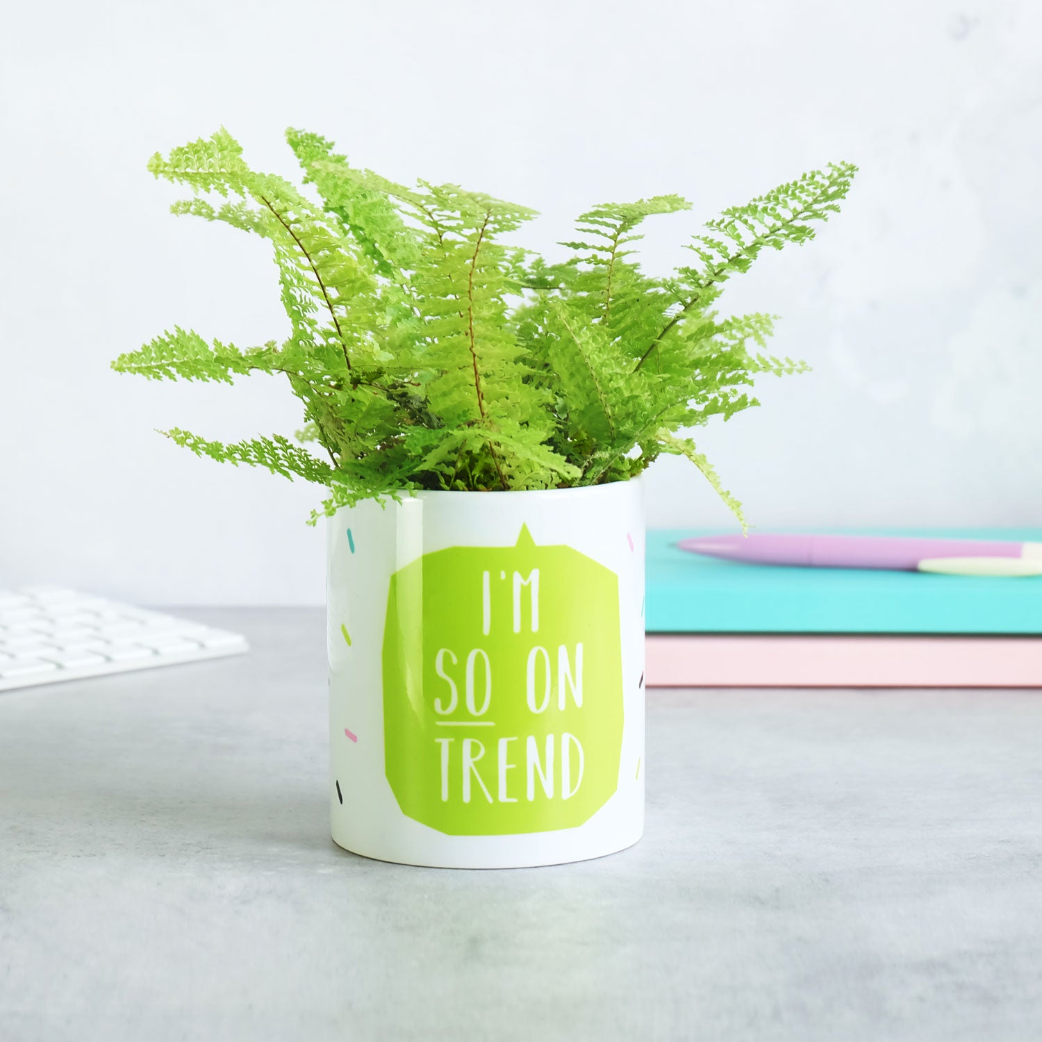 I'm So On Trend Plant Pot