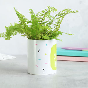 I'm So On Trend Plant Pot