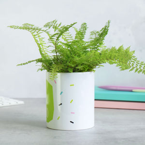 I'm So On Trend Plant Pot