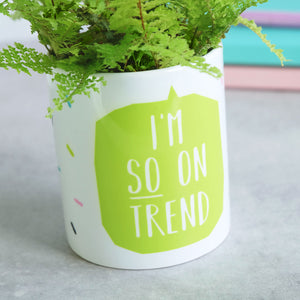 I'm So On Trend Plant Pot