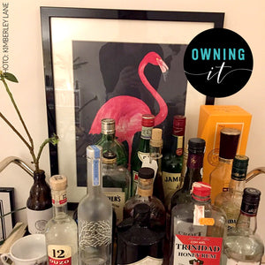 flamingo print framed