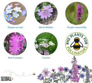 Seedball - the easy way to plant - Eight varieties to choose from